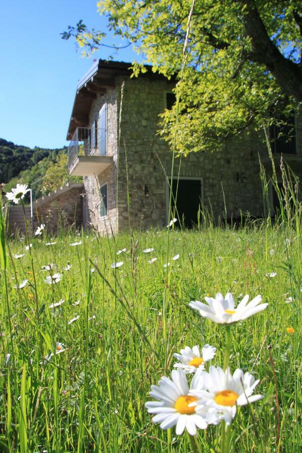 Ca Del Gari Villa Tremosine Eksteriør bilde